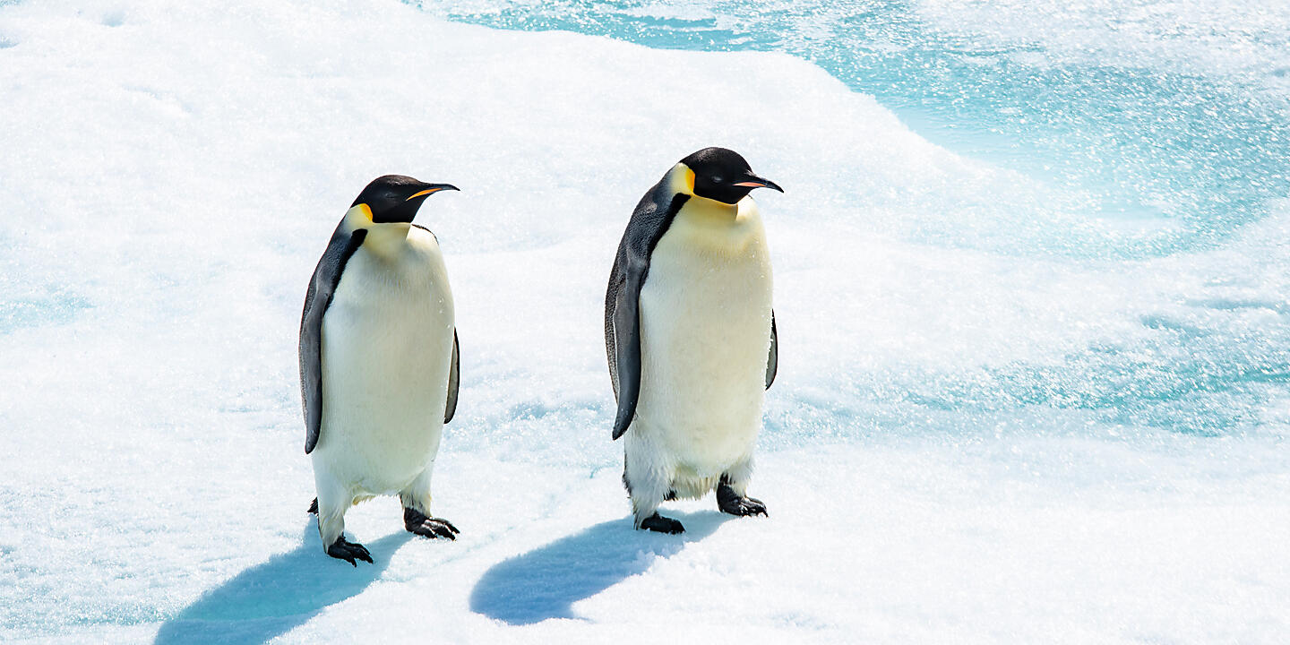 Antarctica
