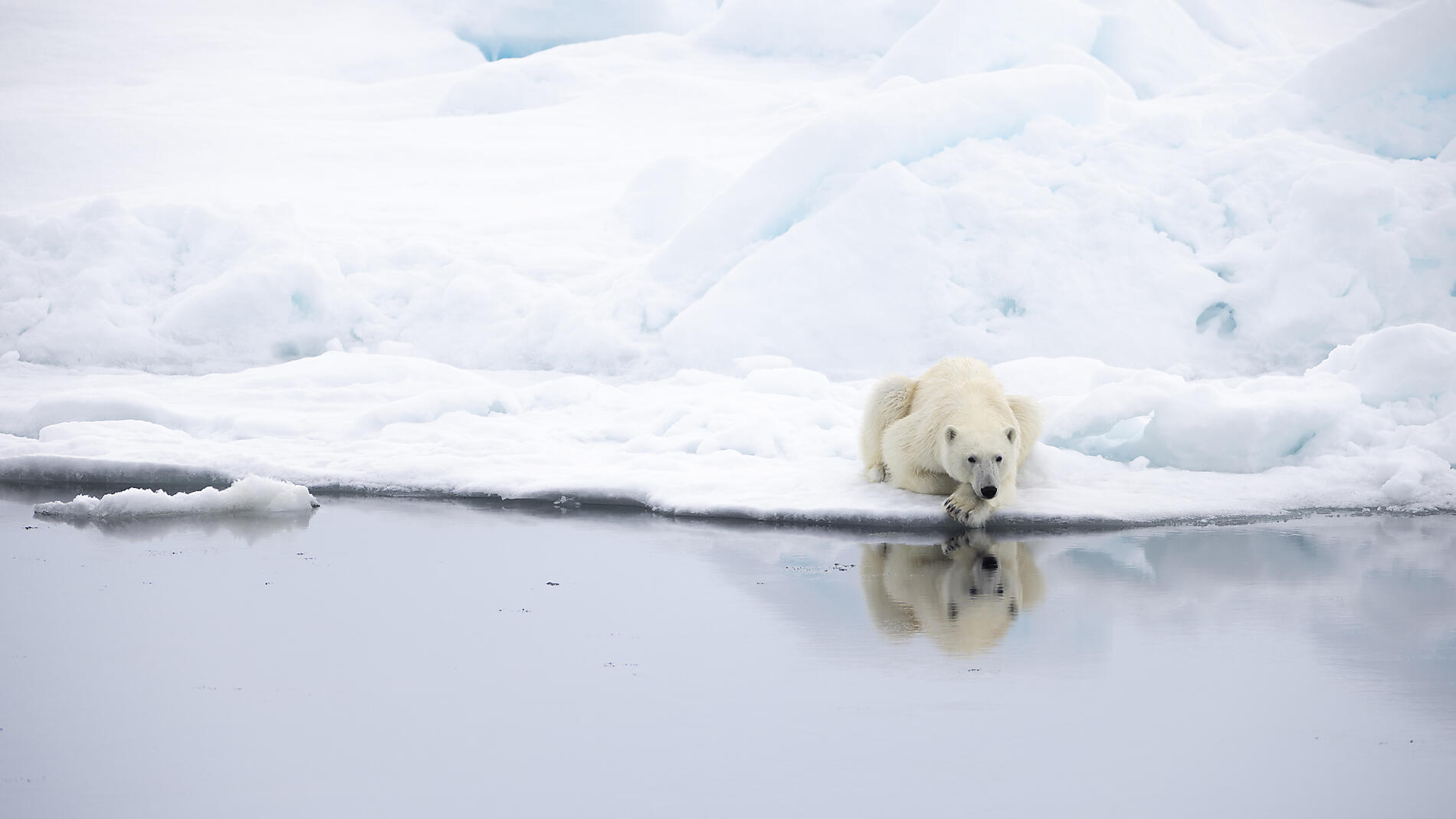 European Arctic