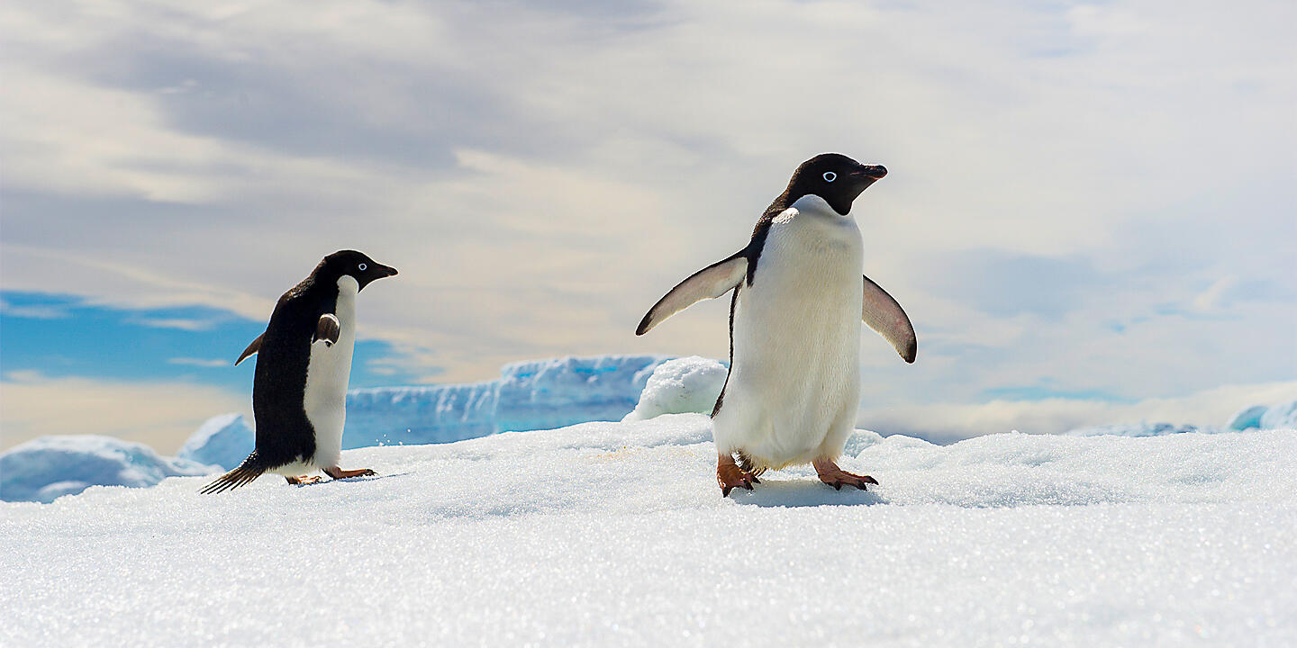 Antarctica