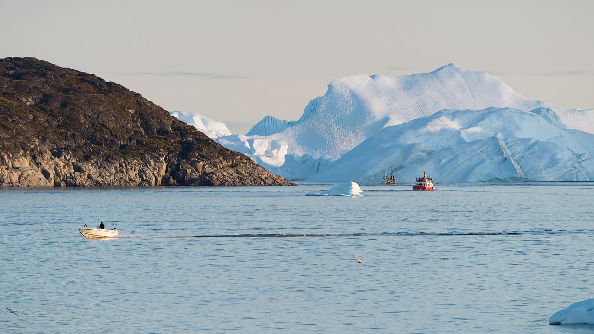 European Arctic